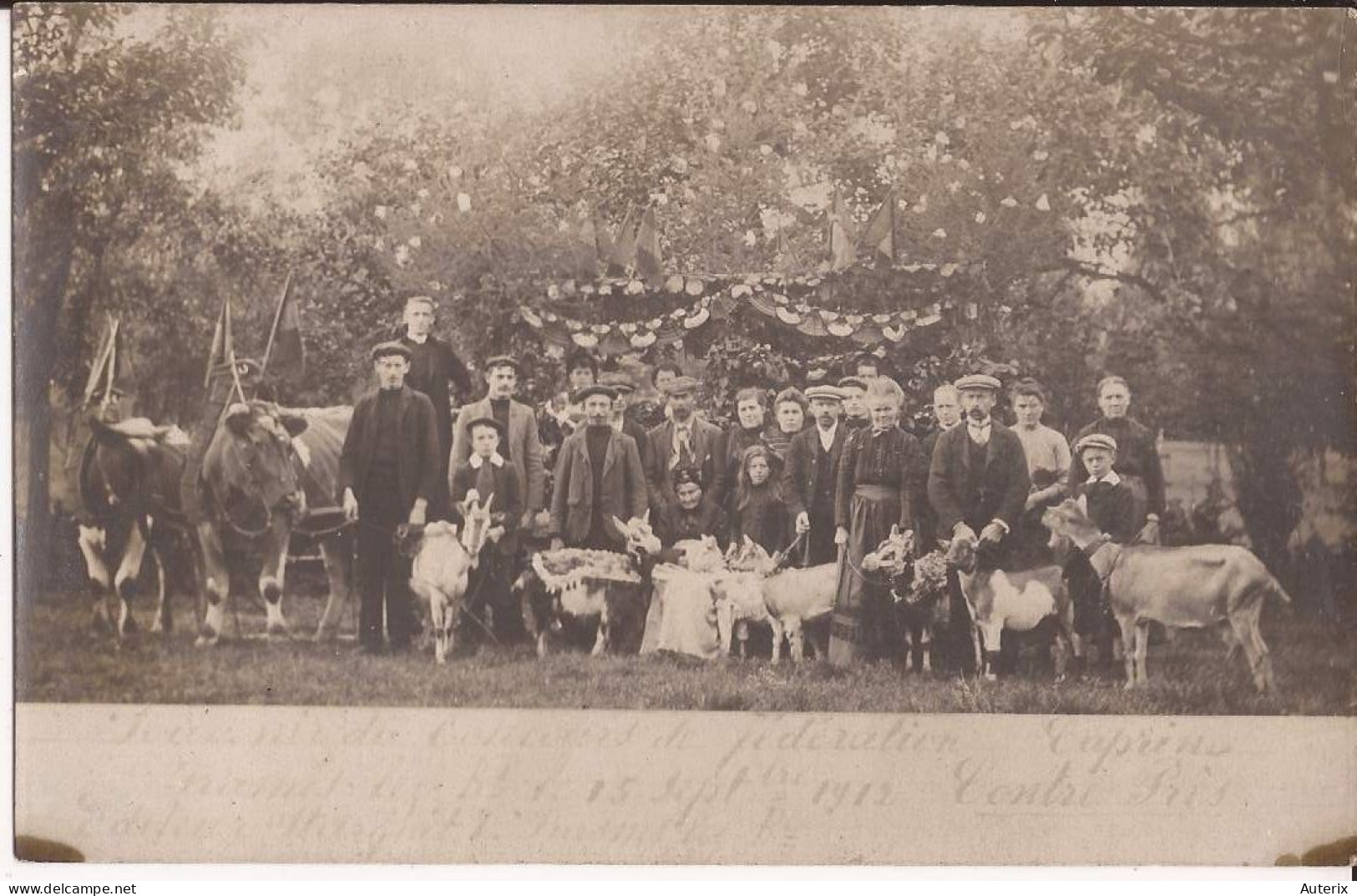 Belgique - Frasnes-Buissenal Le 15 Septembre 1912 (Contre Prés) Souvenir Du Concours De Fédération Caprine Goat - Frasnes-lez-Anvaing