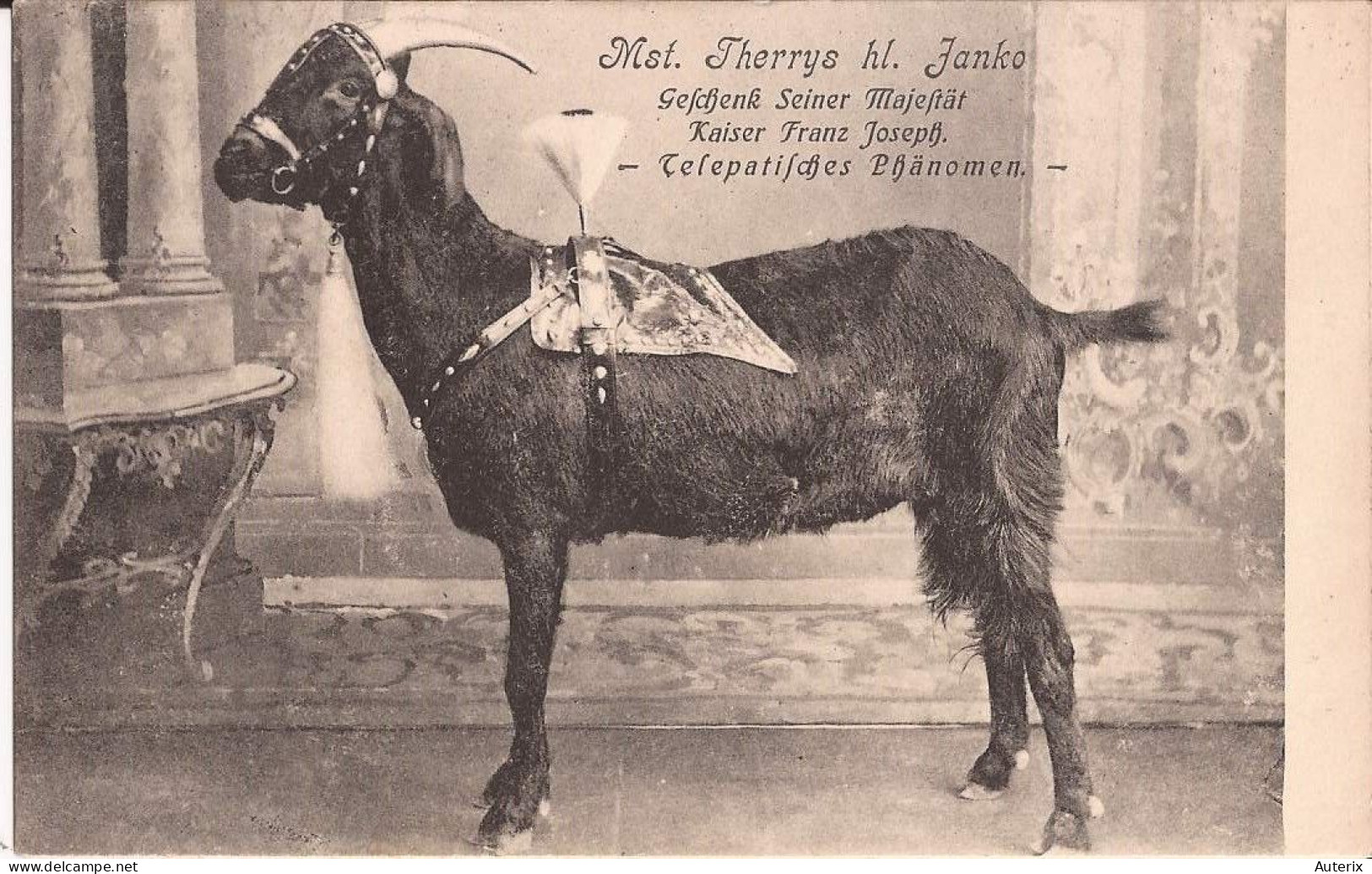 Allemagne - Mst. Therrys Hl. Fanko - Gefchenk Seiner Majeftät Kaiser Franz Joseph - Telepatifches Phänomen Goat - Astrology