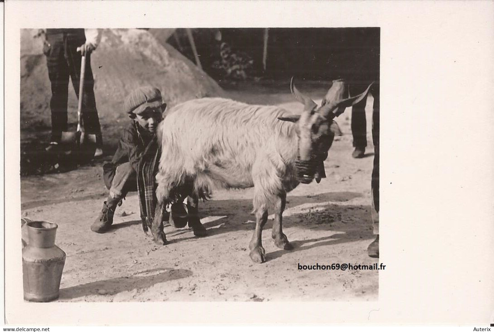 Espagne - Sevilla - Seville - Goat's Milk Milkseller Goat - Sevilla