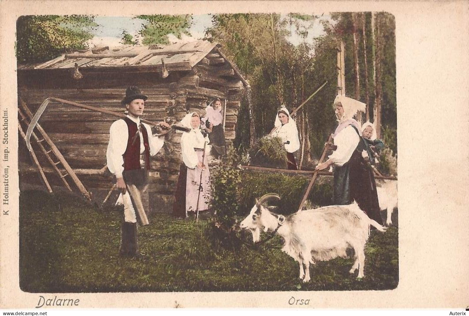 Suède - Dalarne - Orsa Goat - Schweden