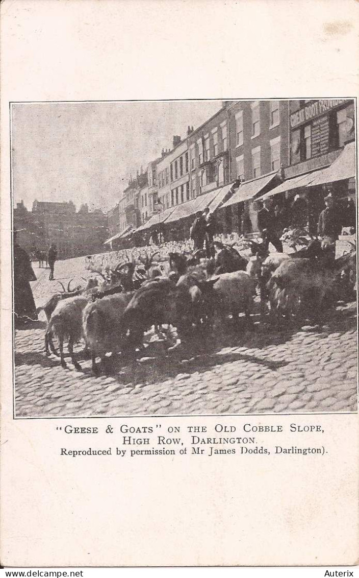 Royaume-Uni - Darlington - Geese And Goats On The Old Cobble Slope , High Row Goat - Darlington