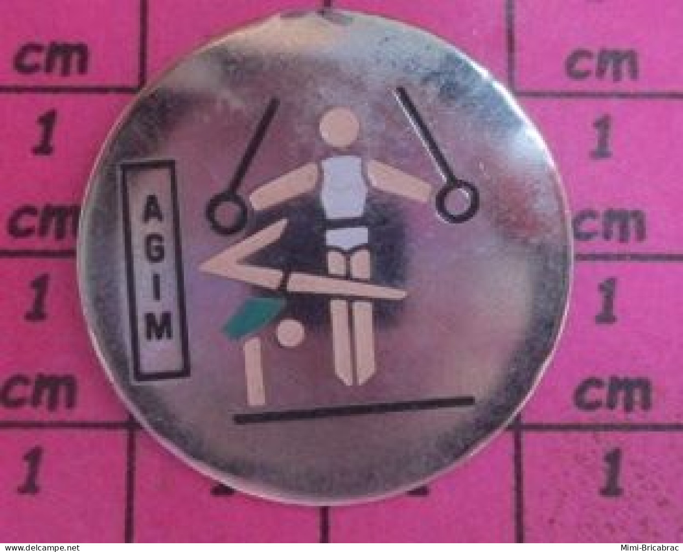 818B  Pin's Pins / Beau Et Rare / SPORTS / GYMNASTIQUE CLUB AGIM - Gymnastics