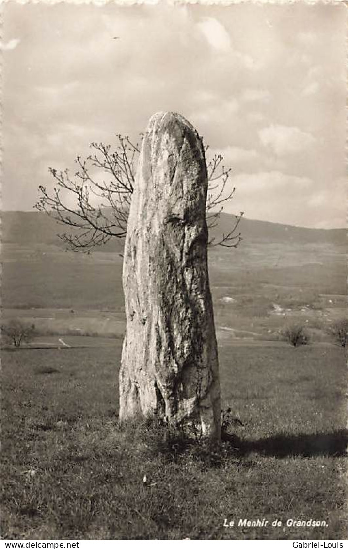 Le Menhir De Grandson Fiez Celtes - Fiez