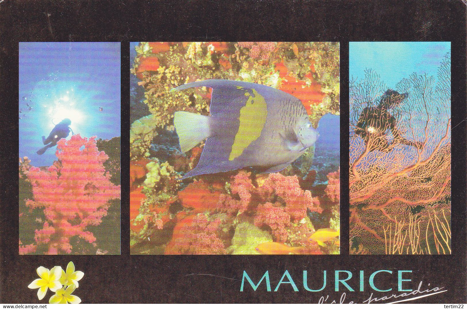 MAURICE . PAYSAGE SOUS MARIN . L ILE PARADIS - Maurice