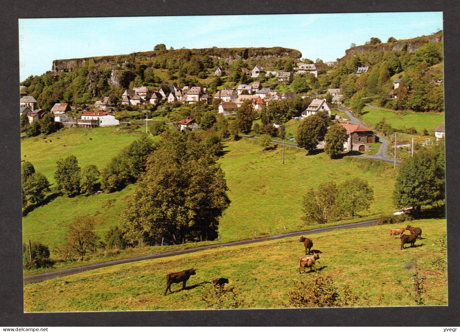 CARLAT (15 Cantal) Le Village Et Le Rocher, Ancienne Place Forte, Imprenable, Rasée En 1604 (Editions BOS N° 15-497) - Carlat