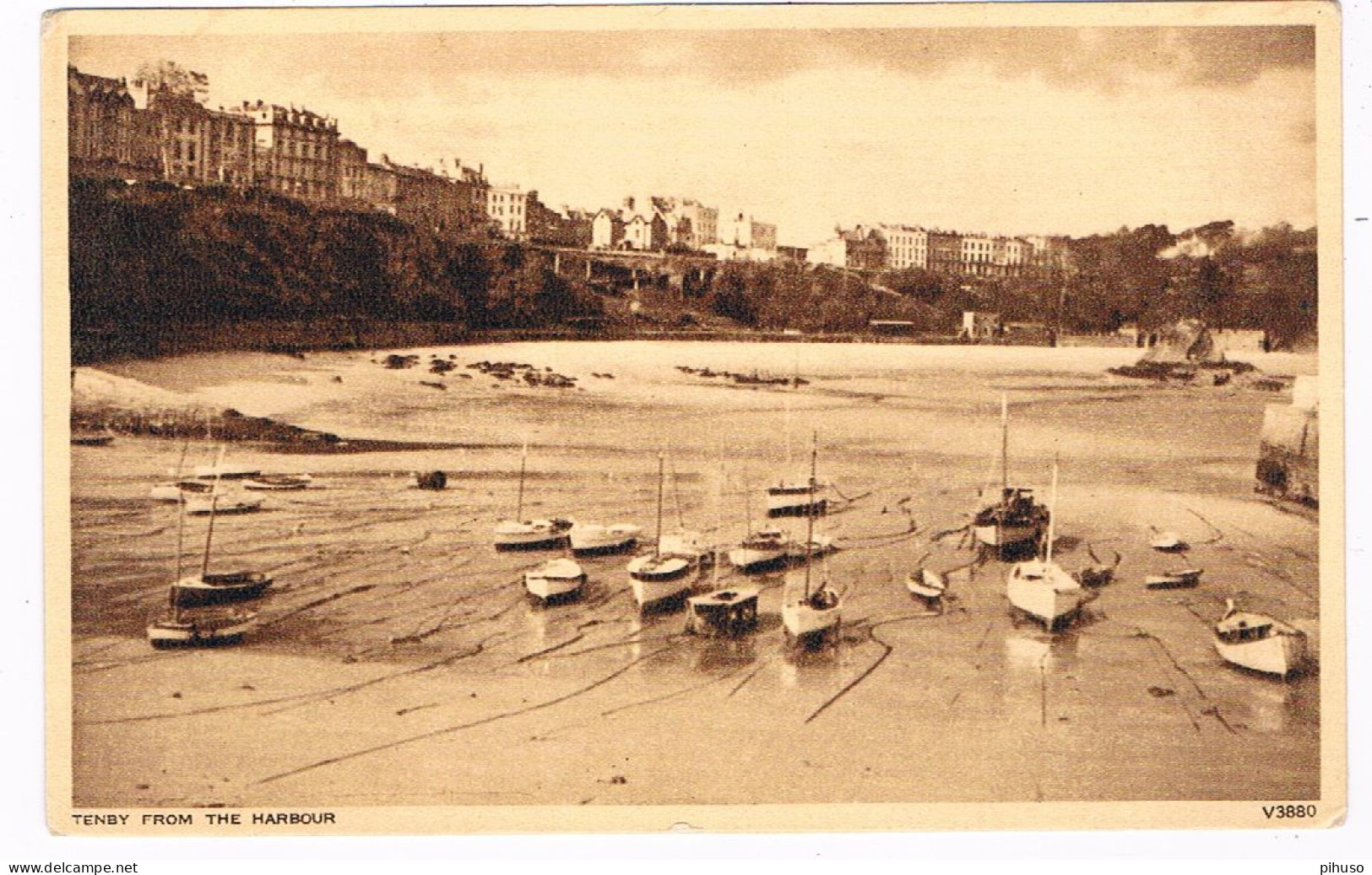 UK-3918  TENBY : From The Harbour - Pembrokeshire