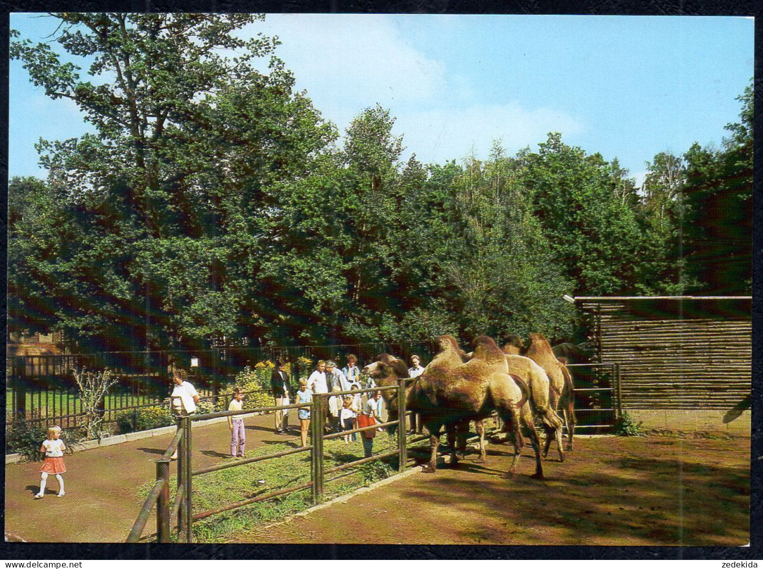 E4545 - Karl Marx Stadt - Tierpark Zoo Pelzmühle - Bild Und Heimat Reichenbach - Chemnitz (Karl-Marx-Stadt 1953-1990)