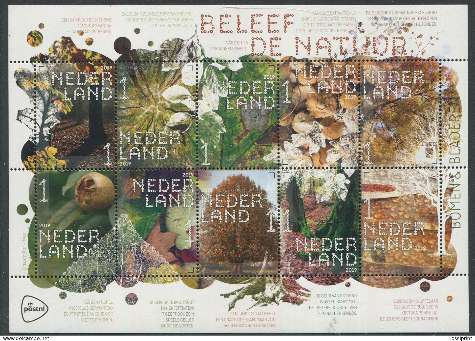 Netherlands:Holland:Unused Sheet Netherlands Woods, Mushrooms, Trees, 2019, MNH - Ongebruikt