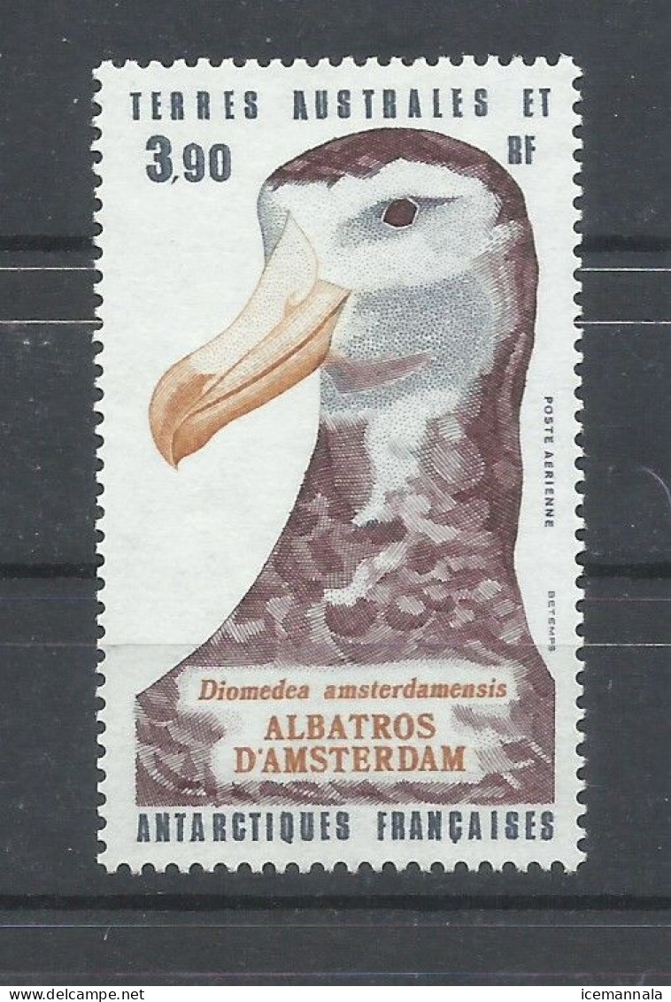 T.A.A.F  , SELLO   ALBATROS  MNH  ** - Pelicans