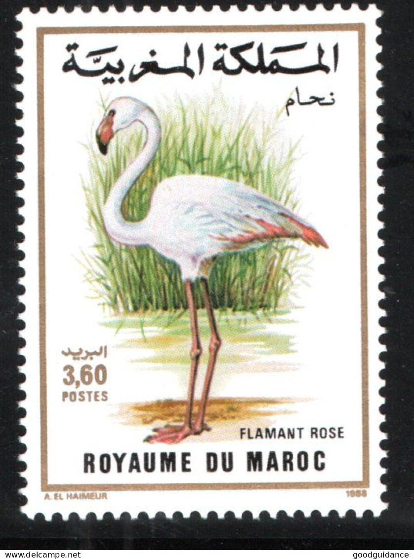 1988 - Morocco - Maroc- Bird Of Morocco- Oiseau Du Maroc - Greater Flamingo - Flamant Rose- MNH** - Flamingos