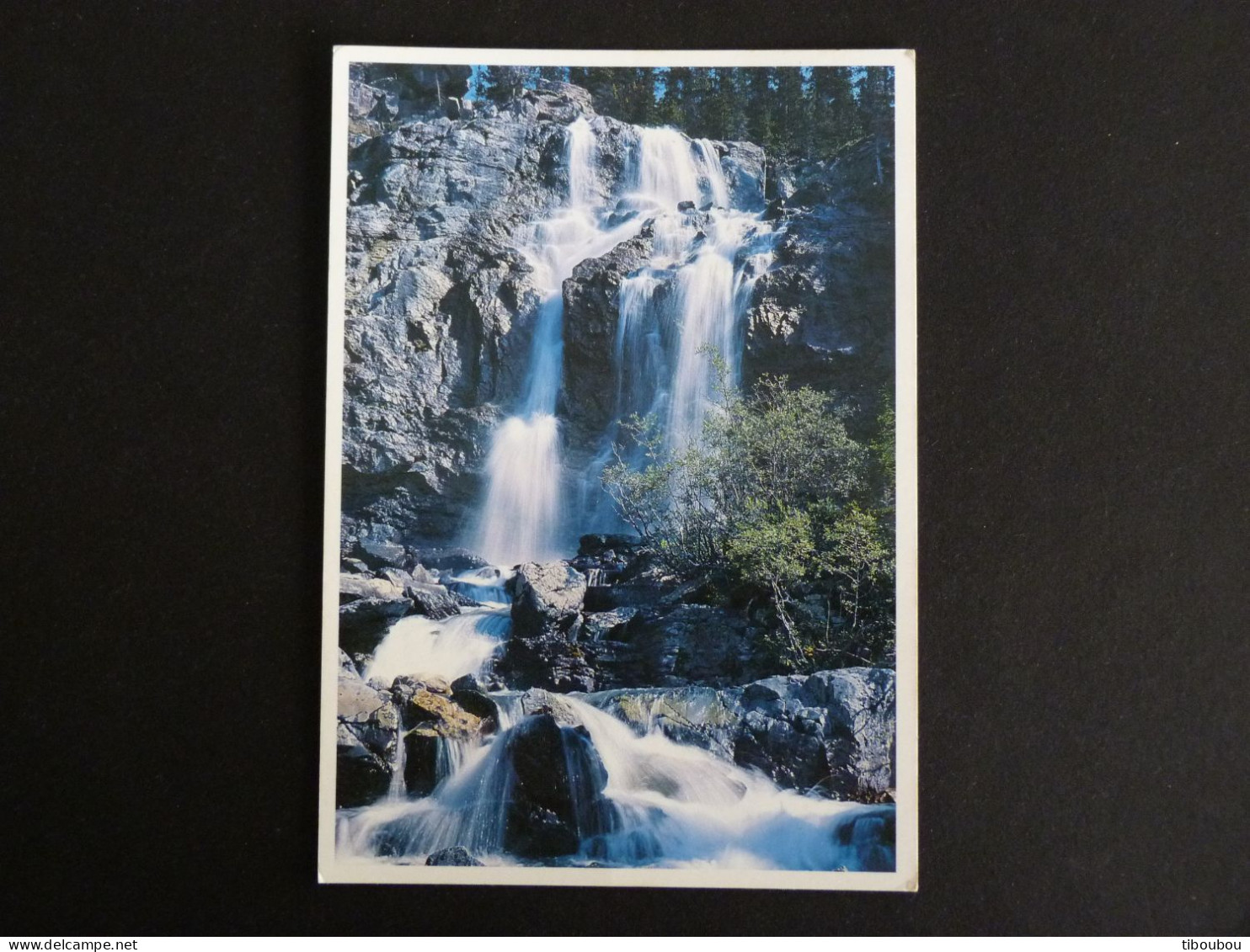 CANADA AVEC YT 1082 OURS BEAR - TANGLE FALLS - Covers & Documents