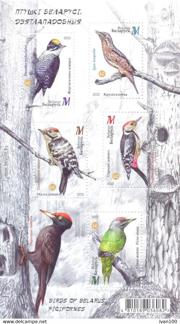 2022. Belarus, Birds Of Belarus, Piciformes, S/s Perforated, Mint/** - Belarus