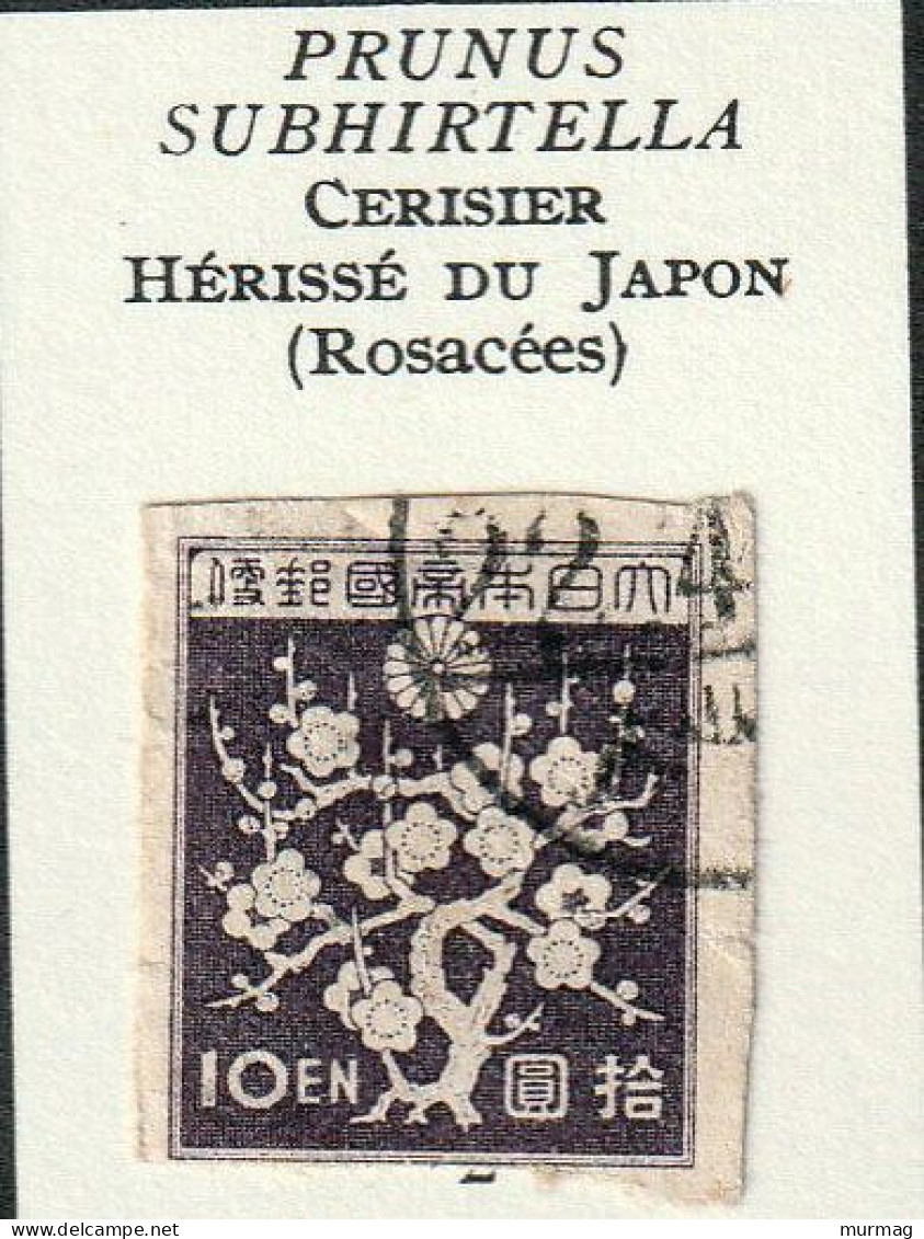 JAPON - Arbre, Cerisier Hérissé Du Japon - Y&T N° 348B - 1937-46 - Oblitéré - Used Stamps