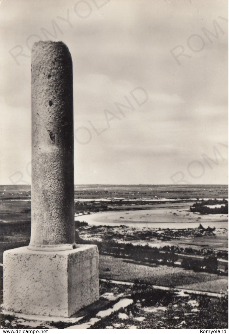 CARTOLINA  CANNE DELLA BATTAGLIA,BARLETTA,PUGLIA-LA VALLATA DELL'OFANTO DALLA COLLINA DI CANNE-STORIA,NON VIAGGIATA - Barletta