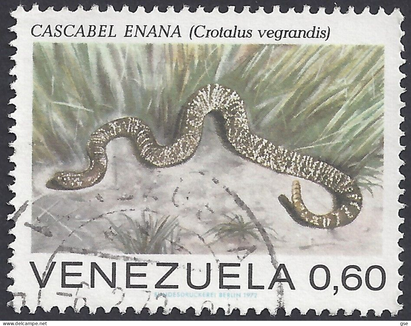VENEZUELA 1972 - Yvert 856° - Crotalus Vegrandis | - Serpents