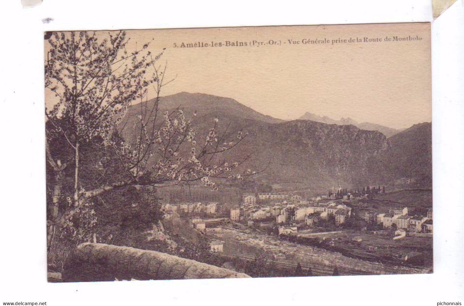 66 AMELIE LES BAINS Vue Generale De La Route De Montbolo - Amélie-les-Bains-Palalda