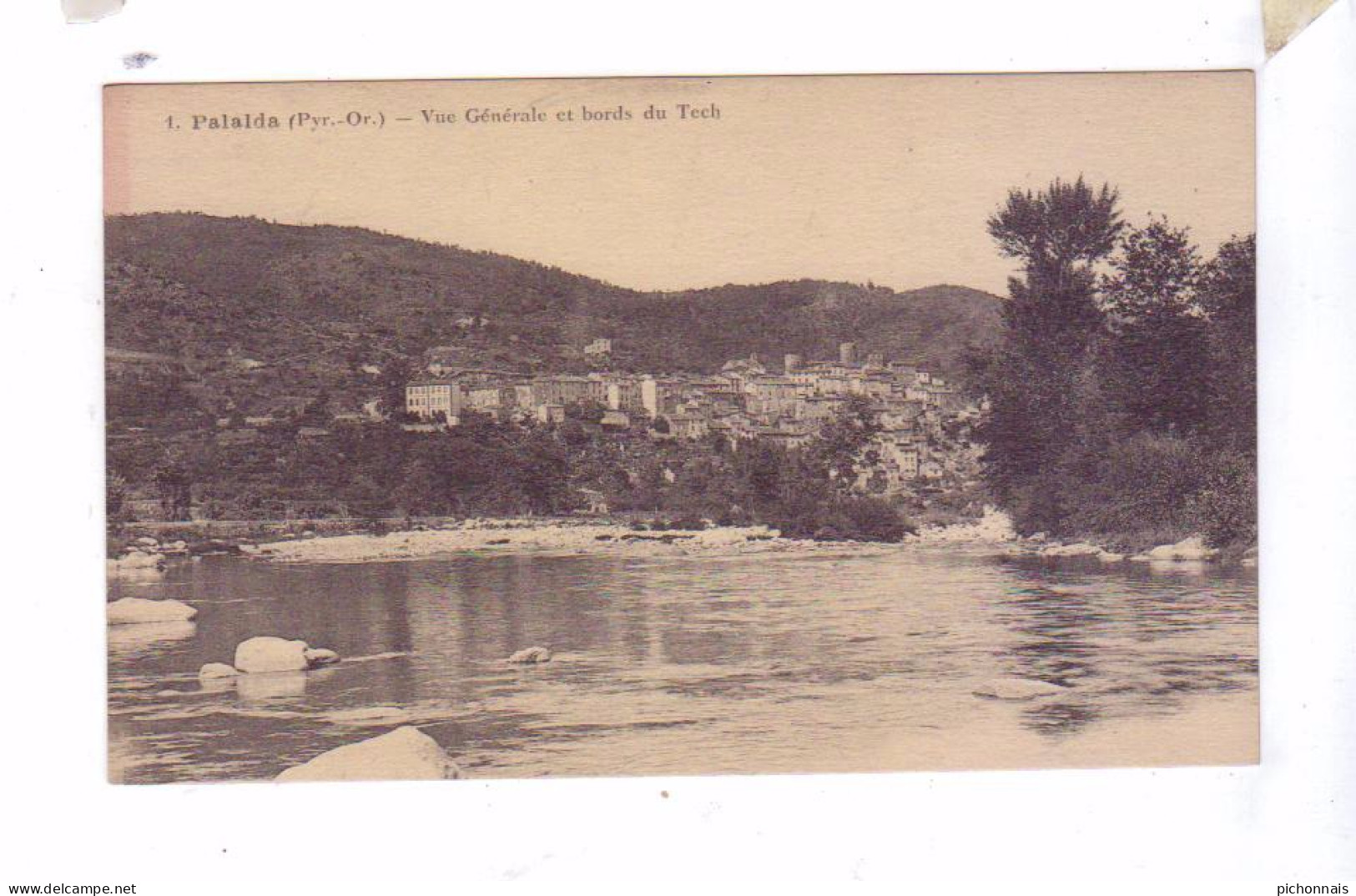 66 PALALDA Amelie Les Bains  Vue Generale Bords Du Tech - Amélie-les-Bains-Palalda