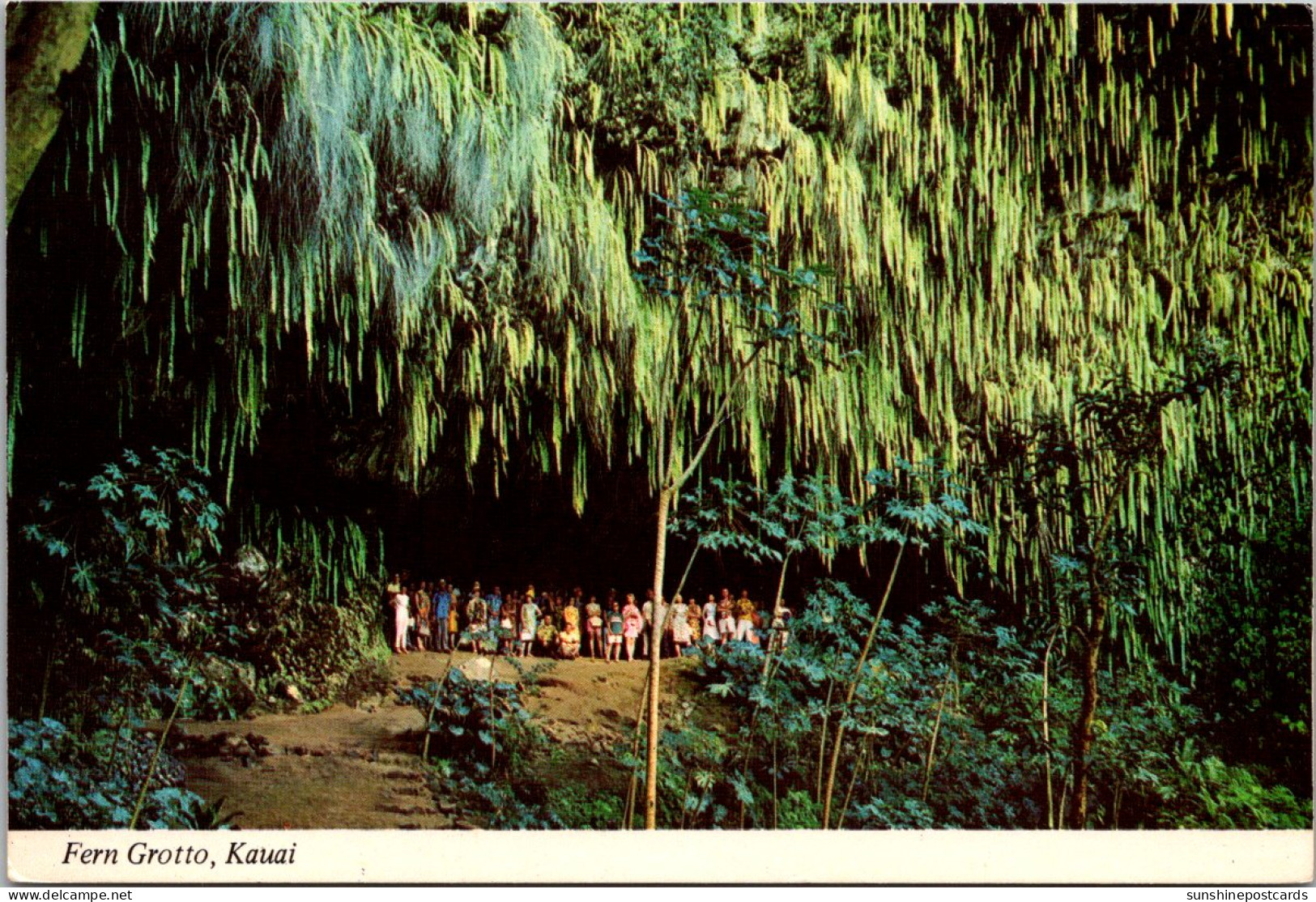 Hawaii Kauai Fern Grotto - Kauai