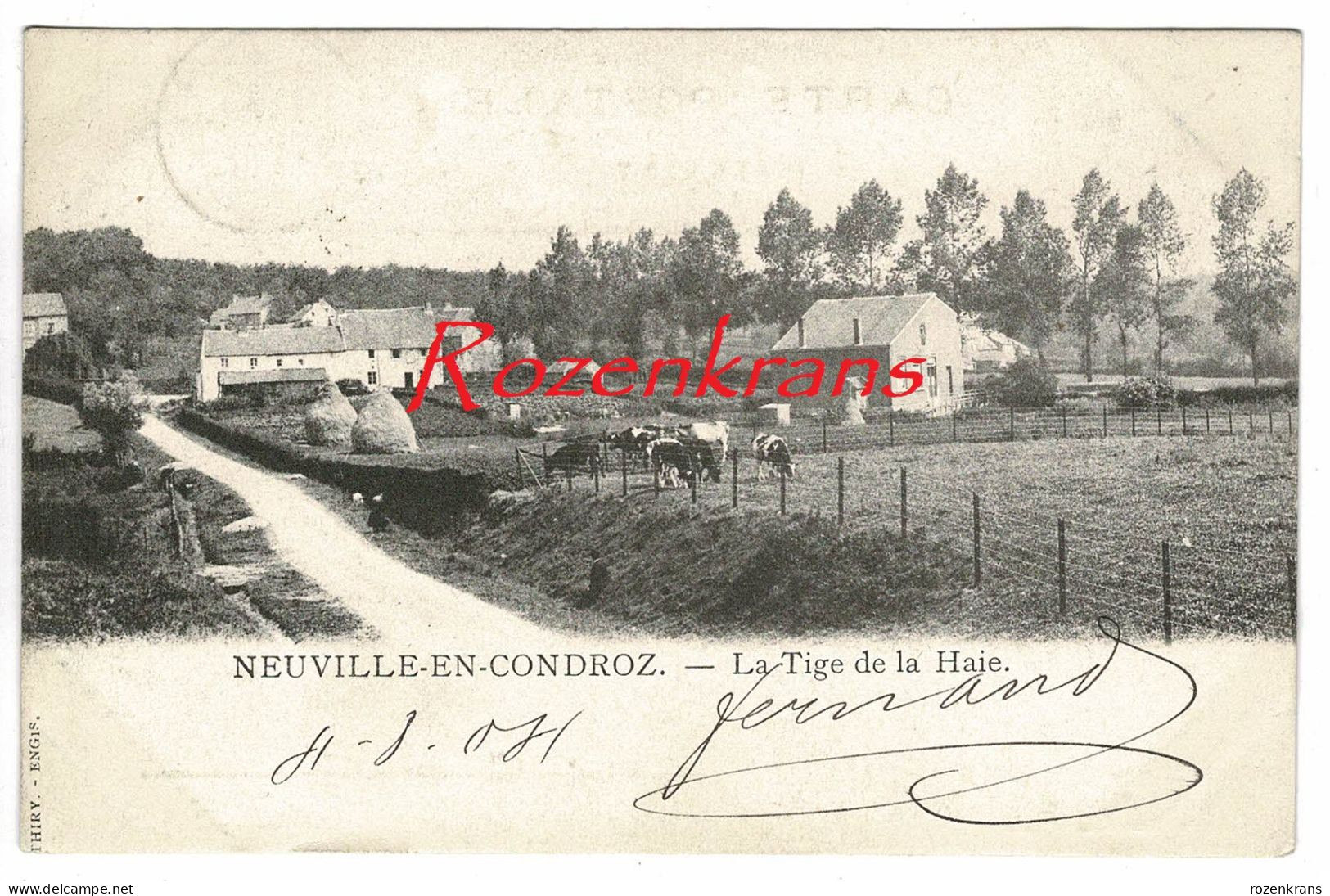 NEUVILLE EN CONDROZ - La Tige De La Haie  CPA Animee Neupré Province De Liege (En Très Bon état) - Neupre