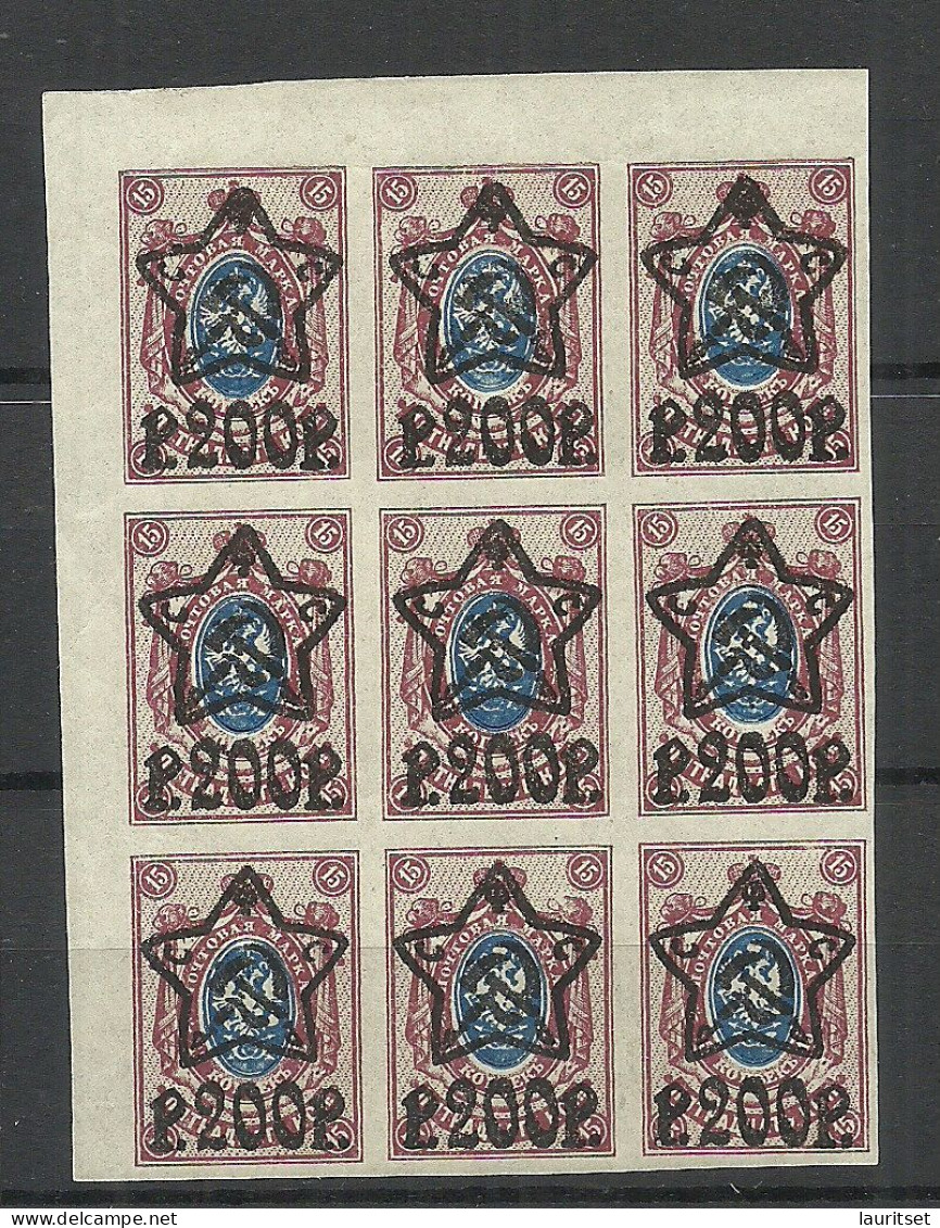 RUSSIA Russland 1923 Michel 207 B As 9-block MNH - Ungebraucht