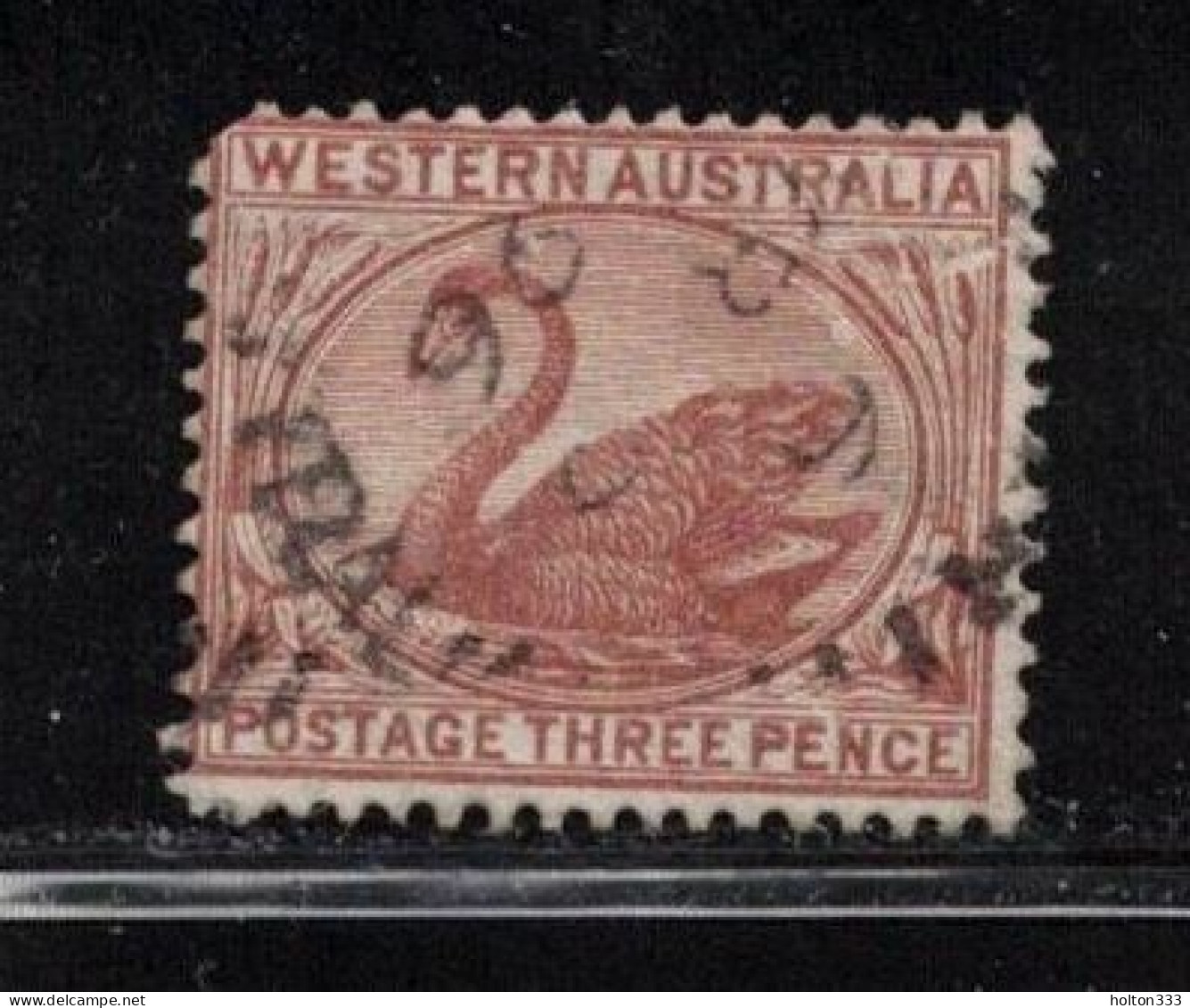 WESTERN AUSTRALIA Scott # 53 Used - Gebruikt