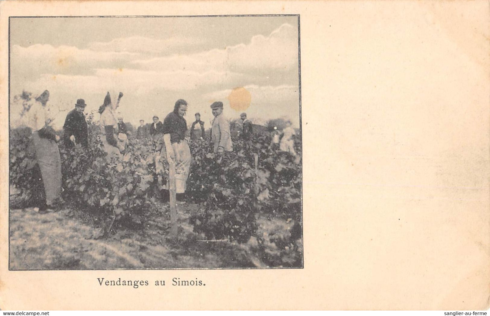 CPA 51 VENDANGES EN SIMOIS - Andere & Zonder Classificatie