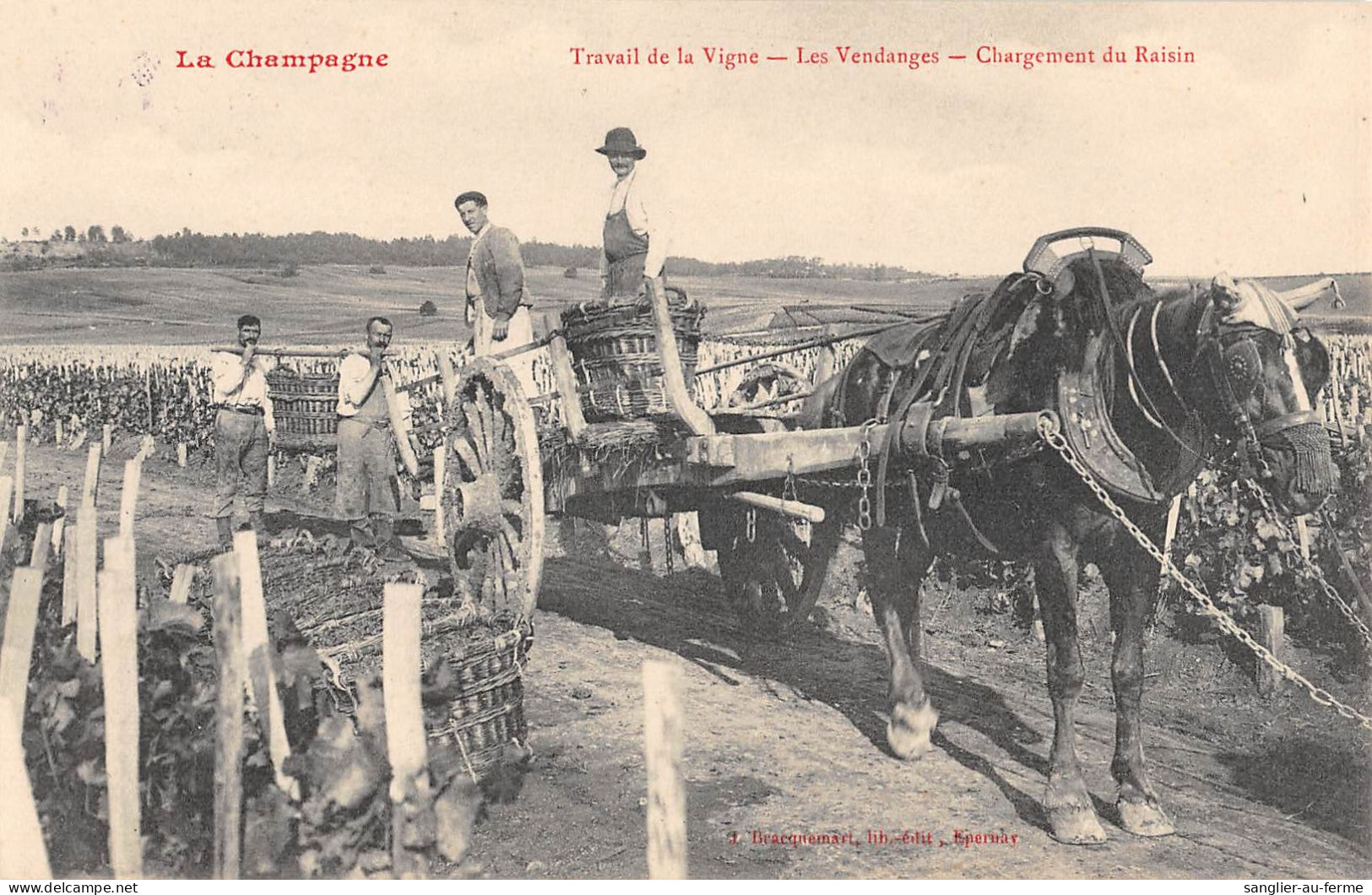 CPA 51 LA CHAMPAGNE / TRAVAIL DE LA VIGNE / LES VENDANGES / CHARGEMENT DU RAISIN - Autres & Non Classés