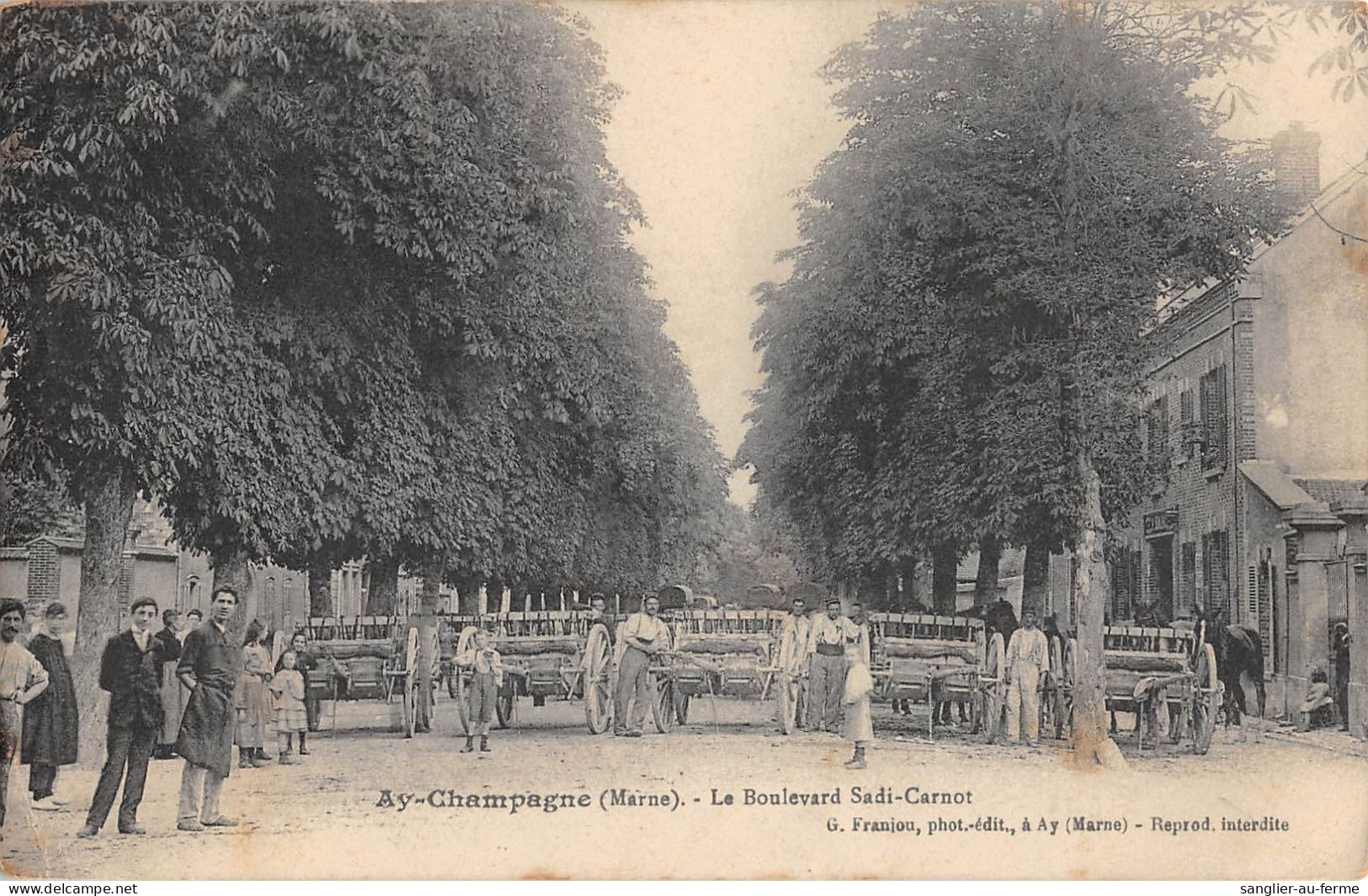 CPA 51 AY CHAMPAGNE / BOULEVARD SADI CARNOT - Ay En Champagne