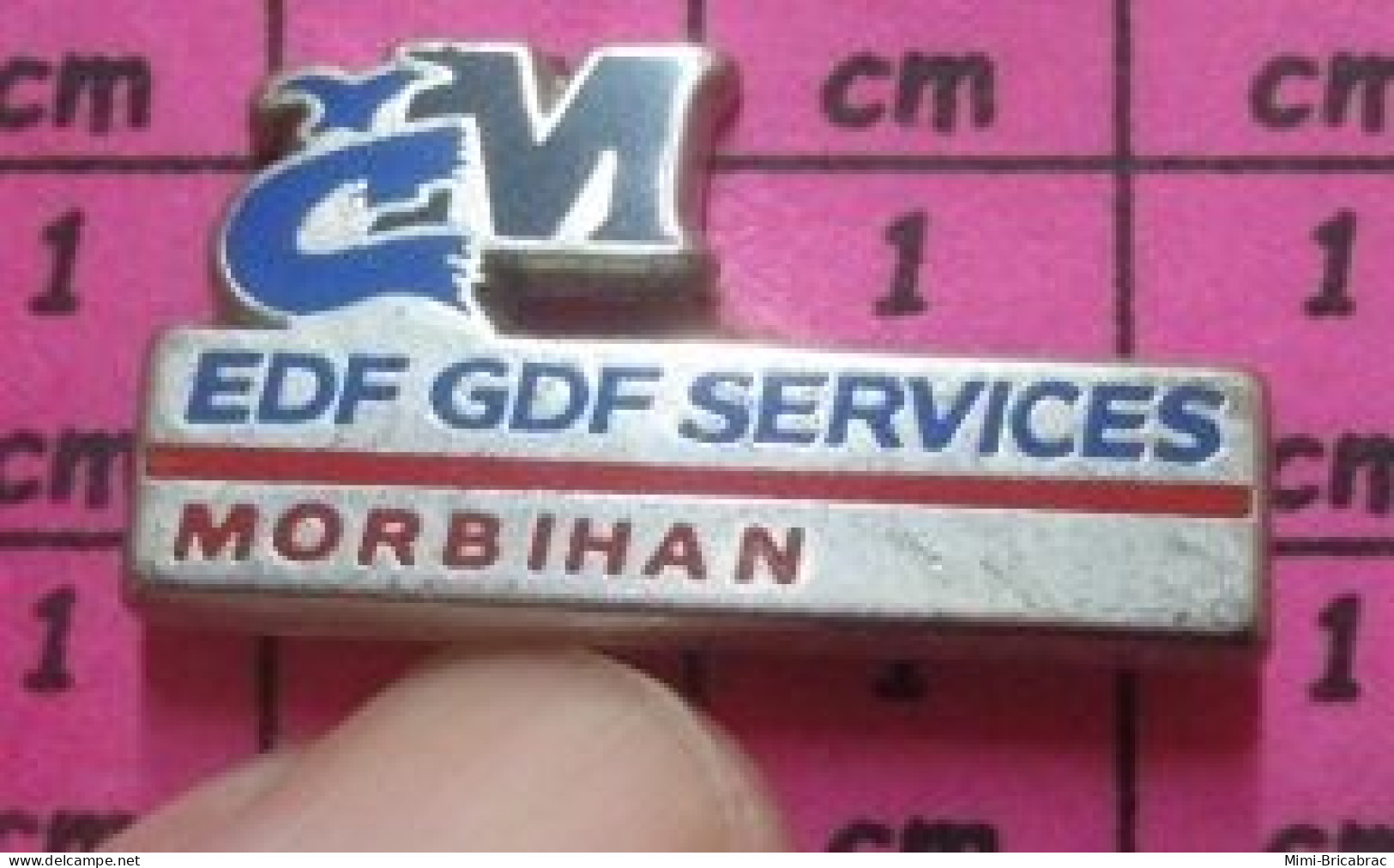 516c Pin's Pins / Beau Et Rare / EDF GDF / SERVICES MORBIHAN Par DECAT - EDF GDF