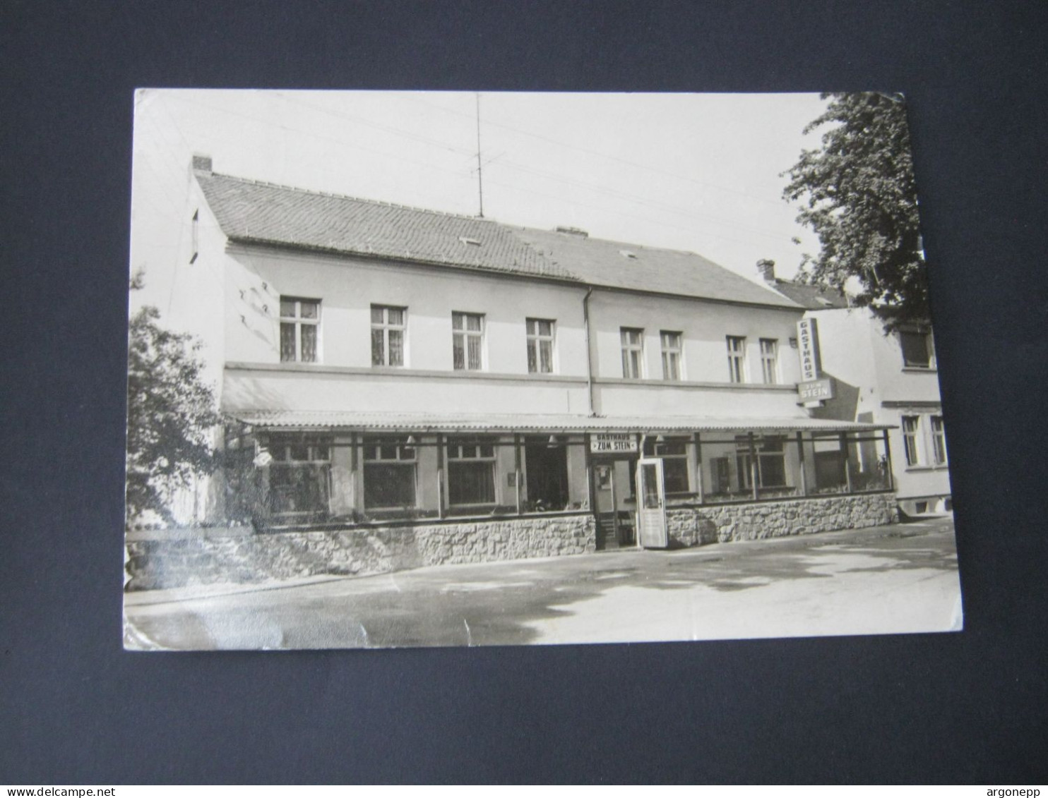 WÖRLITZ , Gasthof  Zum Stein,  Schöne Karten Um 1974 - Wörlitz