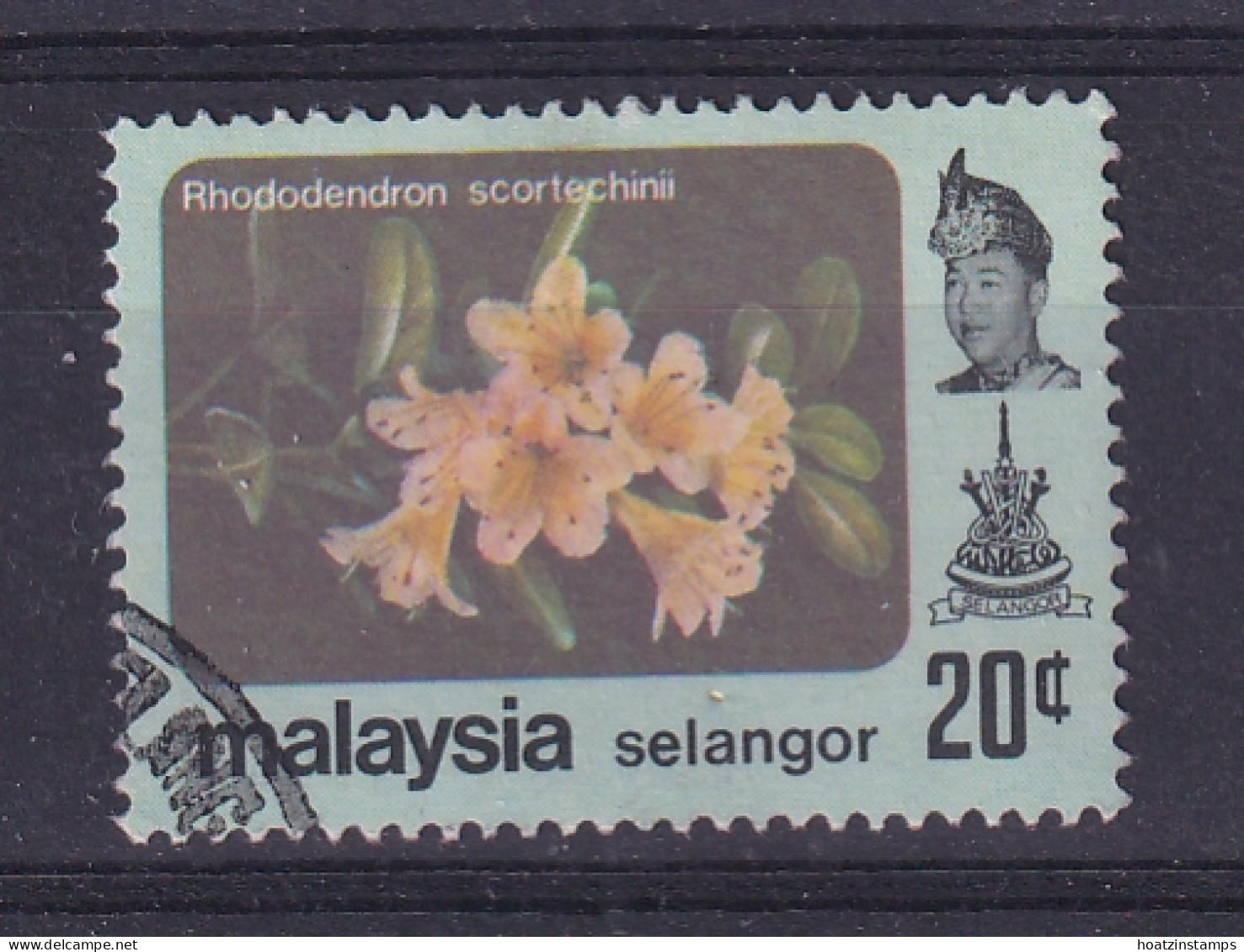 Malaya - Selangor: 1979   Flowers   SG163    20c  [with Wmk]   Used - Selangor