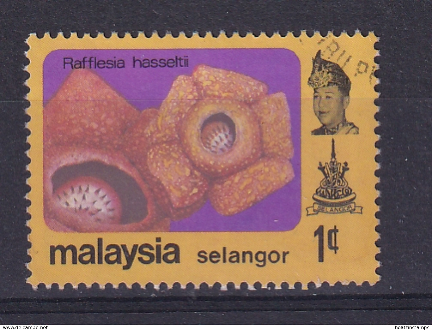 Malaya - Selangor: 1979   Flowers   SG158    1c   [with Wmk]  Used - Selangor