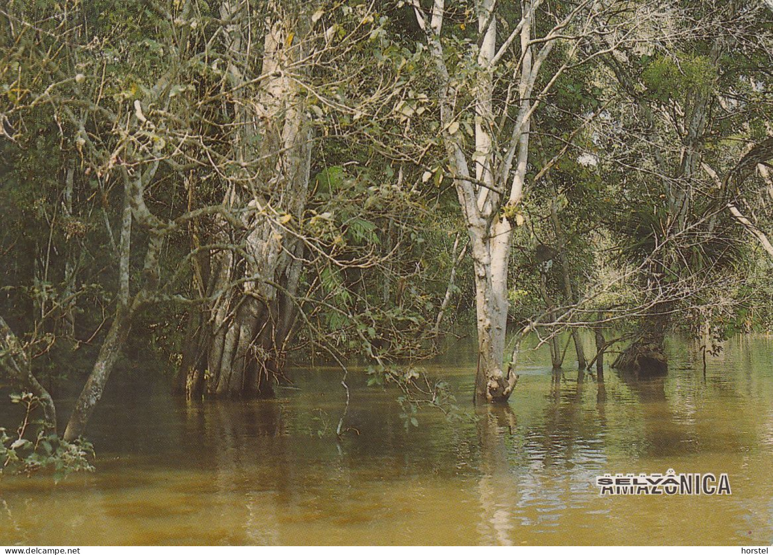 Brasilien - Manaus - Amazon Landscape - Nice Stamp - Manaus