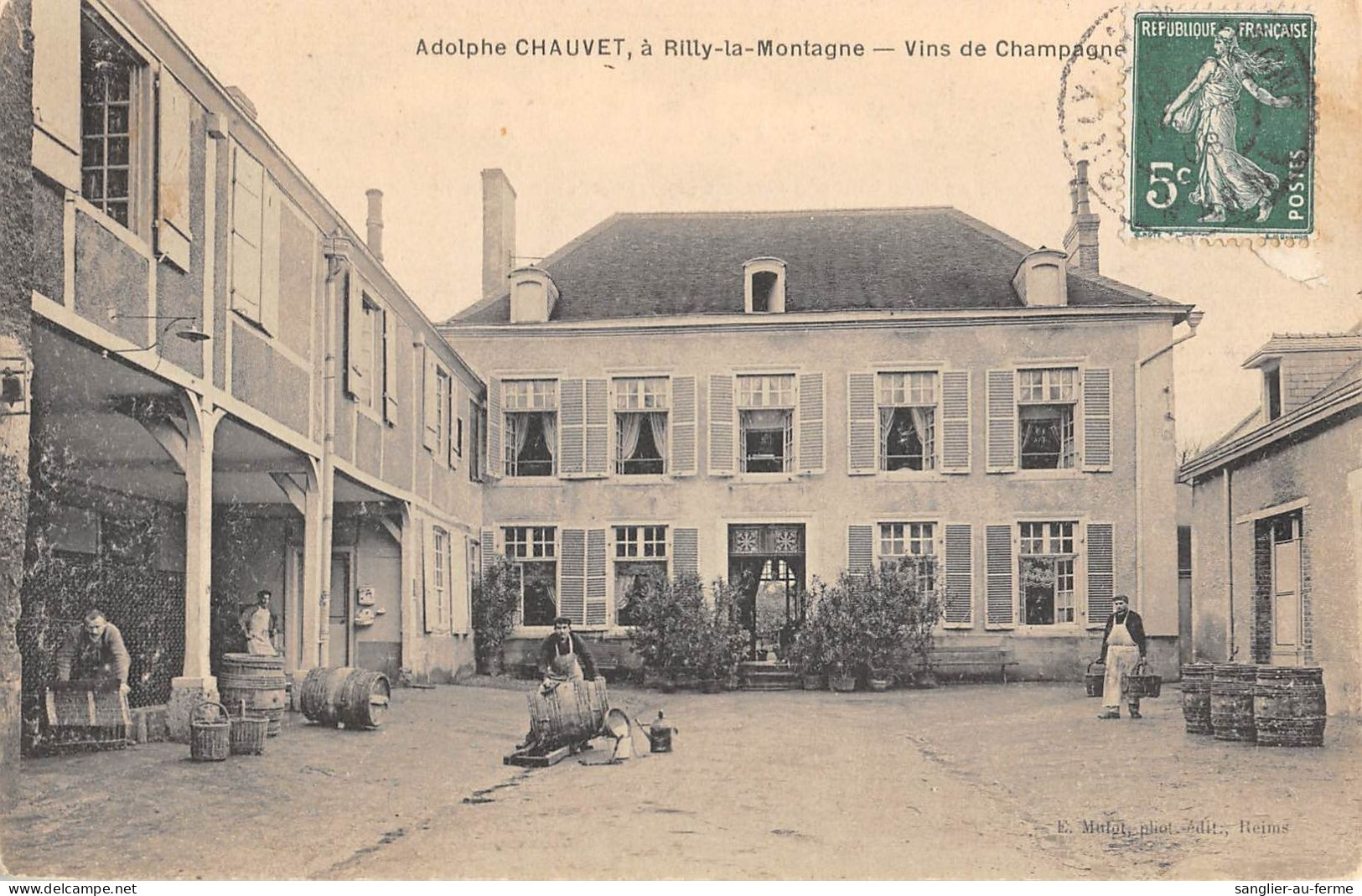 CPA 51 ADOLPHE CHAUVET / A RILLY LA MONTAGNE / VINS DE CHAMPAGNE - Rilly-la-Montagne