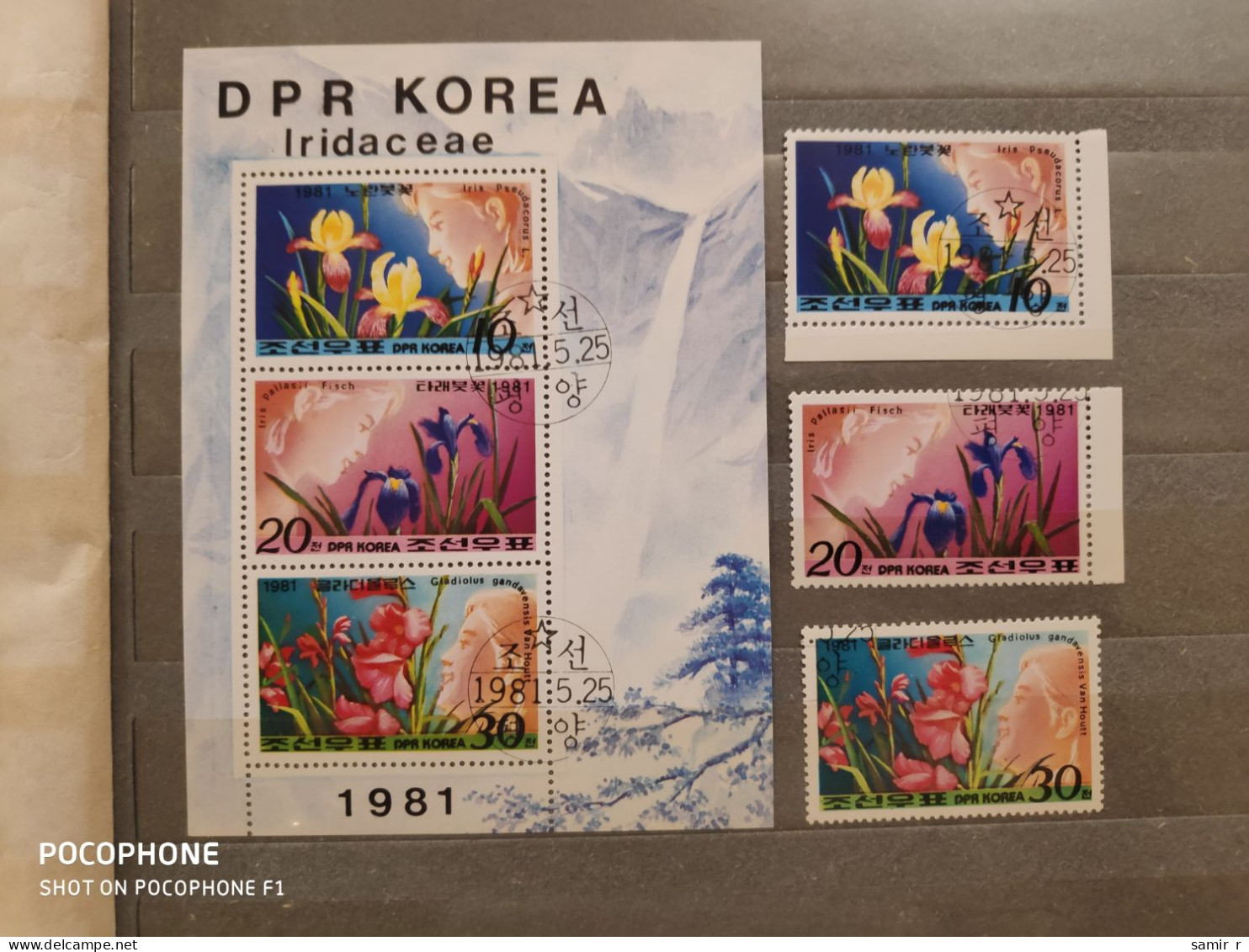1981  Korea	Flowers (F33) - Corée Du Nord