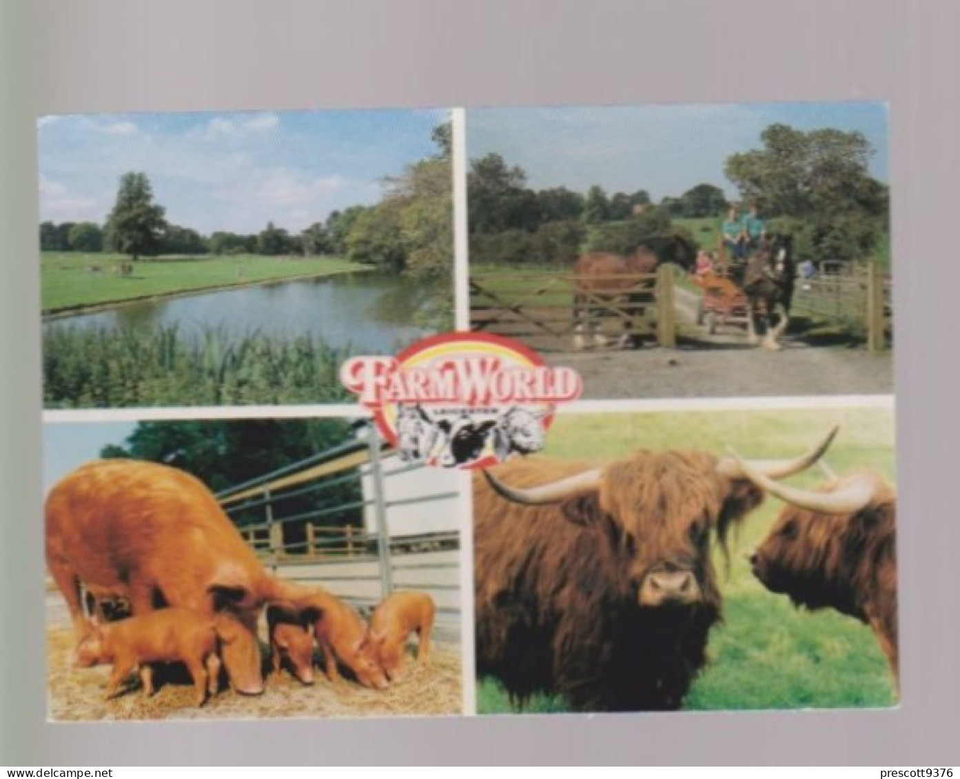 Farmworld, Oadby, Leicestershire- Multiview -   Unused Postcard   - UK13 - Sonstige & Ohne Zuordnung