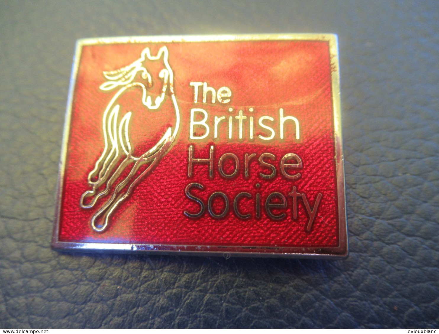 Insigne De Société Hippique Anglaise/ " The British Horse Society " / W O Lewis /Vers 1990 - 2000    INS146 - Autres & Non Classés