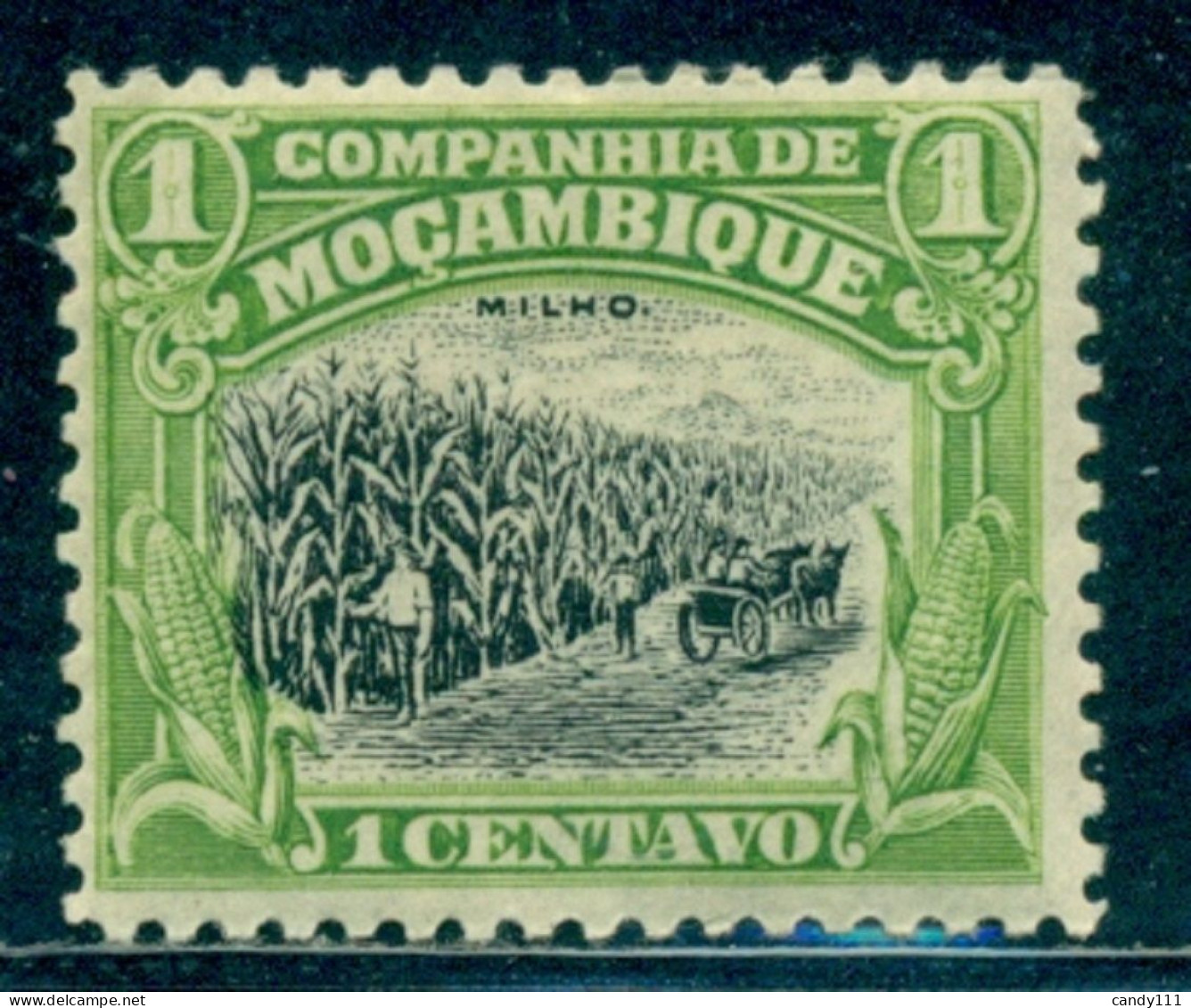 1918 Corn Culture,Mais,Zea Mays,Mozambique Company,116/1C,MLH - Vegetazione