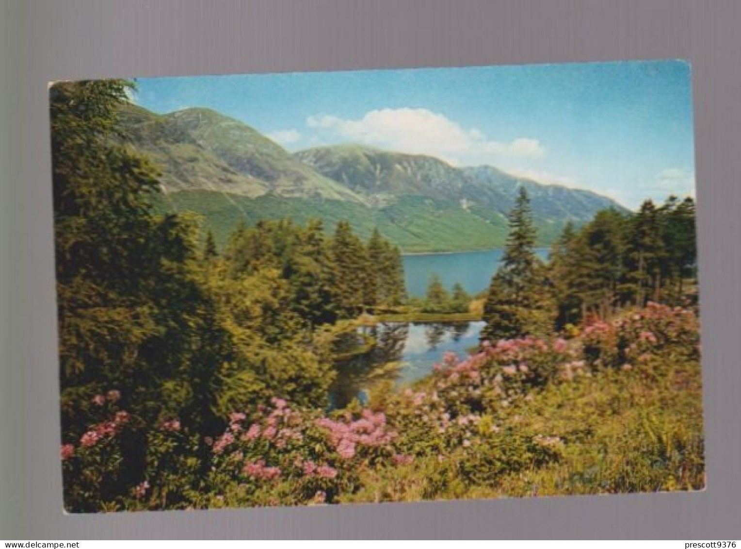 Loch Lochy, Inverness  UK   -   Unused Postcard   - UK14 - Arthur Dixon - Inverness-shire