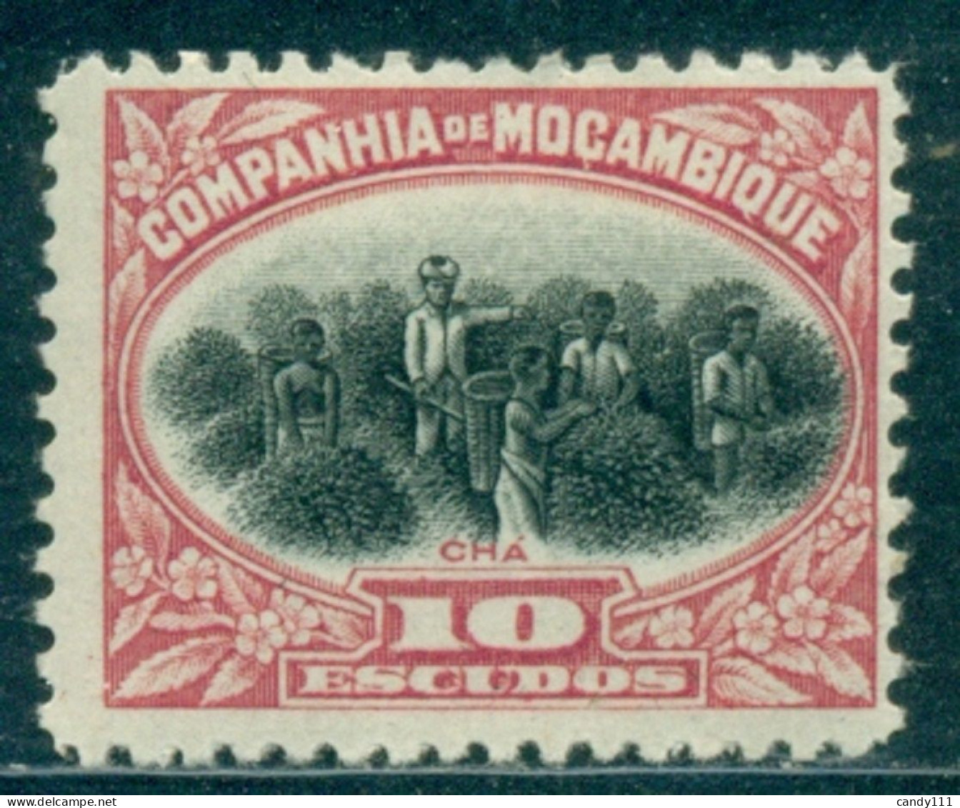 1925 Tea Plantation,Tee,The,Mozambique Company,168/10E,MLH - Plantas Medicinales