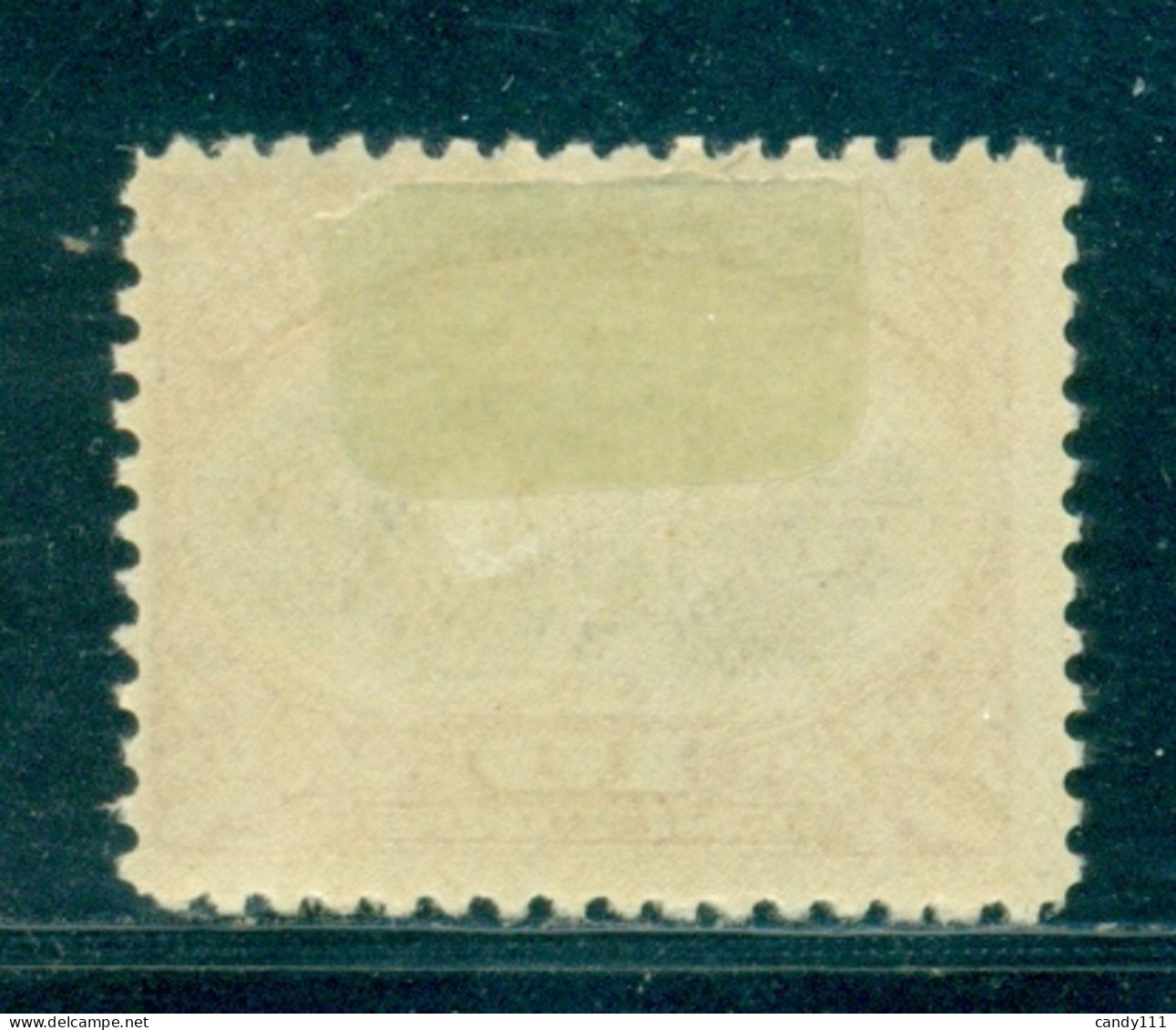 1925 Tea Plantation,Tee,The,Mozambique Company,168/10E,MLH - Geneeskrachtige Planten