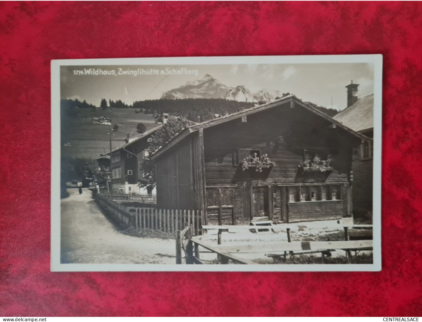 CARTE SUISSE ECHTE PHOTO WILDHAUS ZWINGLIHUTTE AM SCHAFBERG - Wil