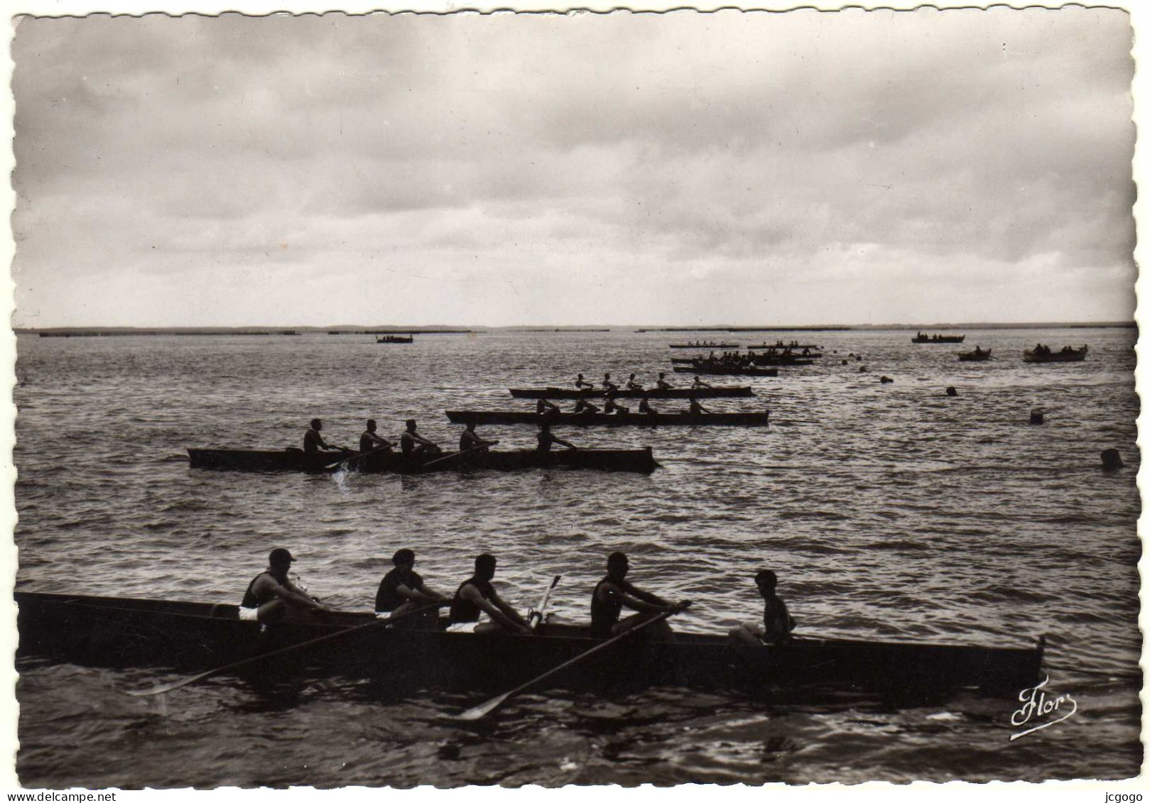 Les Régates à L'aviron.  ARCACHON - Aviron