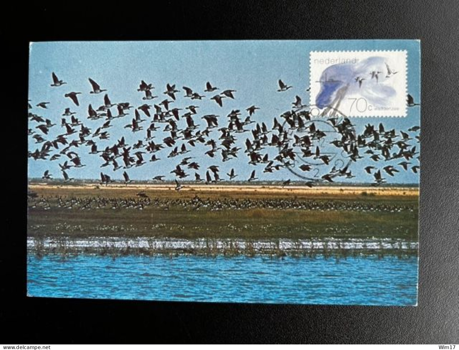 NETHERLANDS 1982 GEESE CIRCULATED MAXIMUM CARD NEDERLAND BIRDS VOGELS - Cartoline Maximum