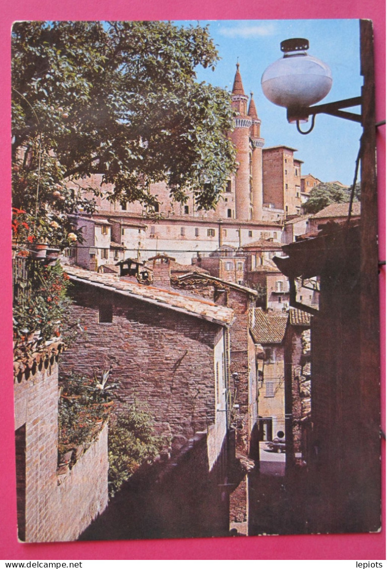 Italie - Urbino - I Torricini Visti Da S. Giovanni - Urbino