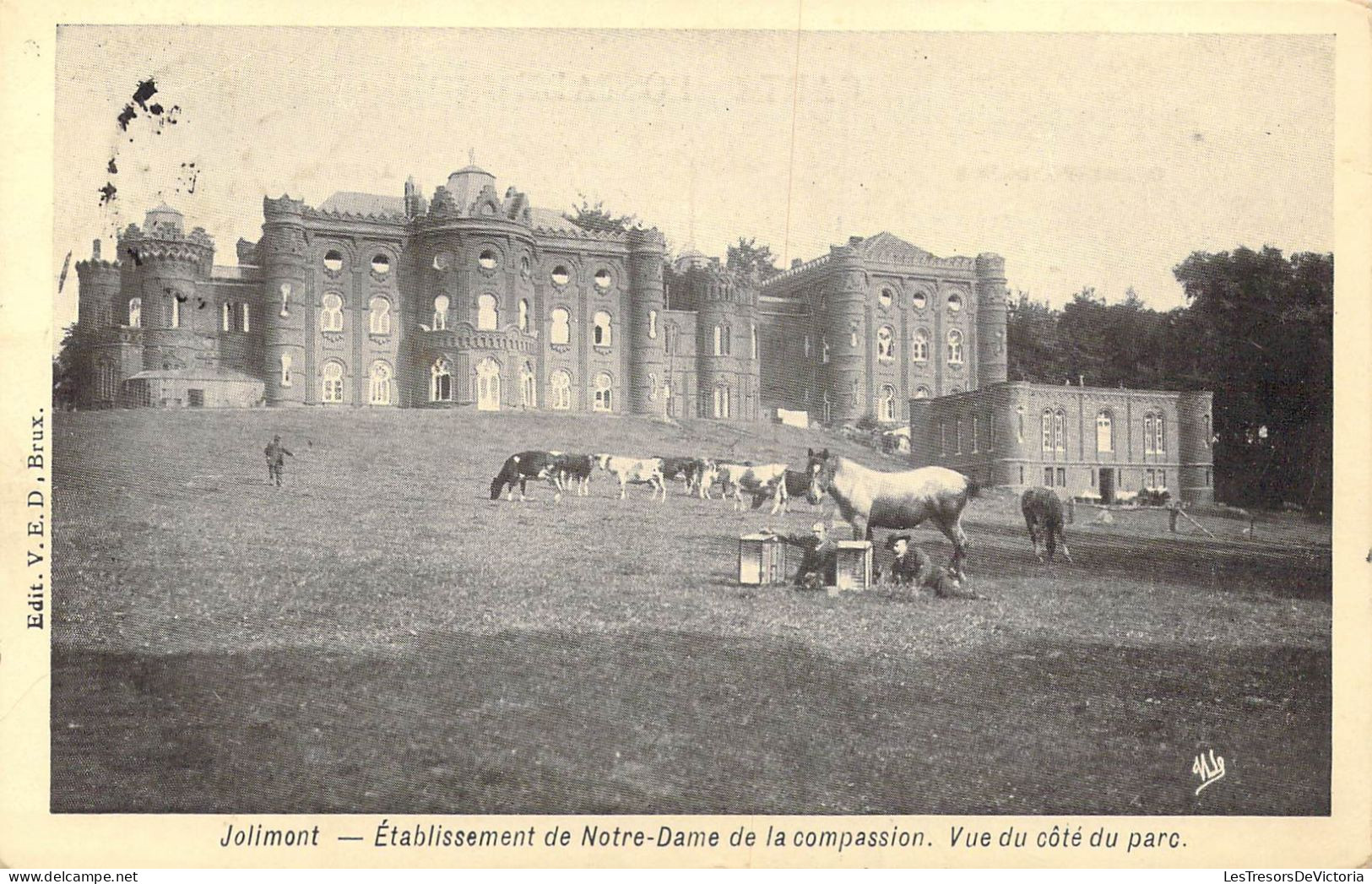 BELGIQUE - Jolimont - Etablissement De Notre-Dame De La Compassion - Vue Du Côté Du Parc - Carte Postale Ancienne - La Louvière