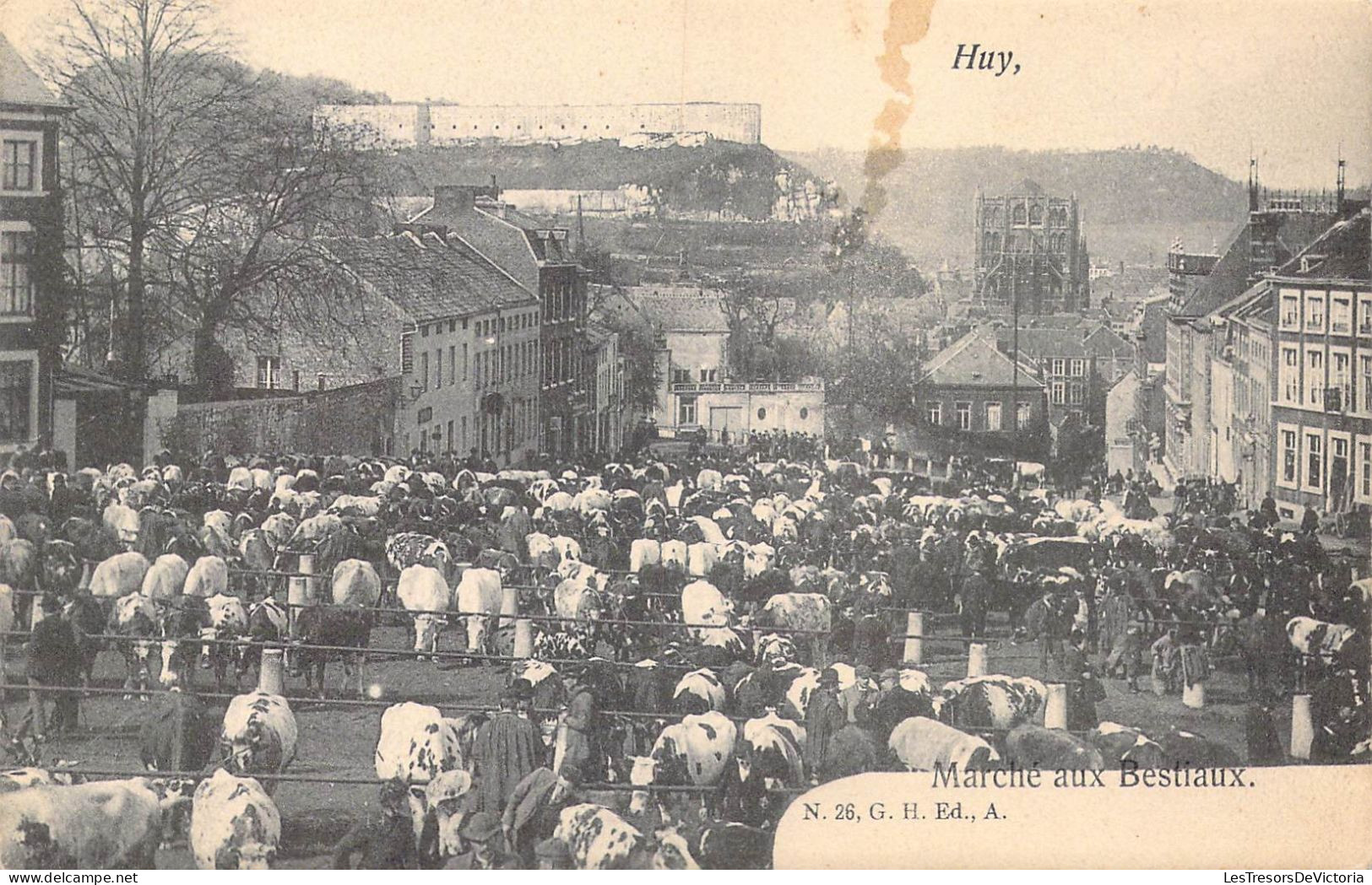 BELGIQUE - Huy - Marché Aux Bestiaux - Carte Postale Ancienne - Huy