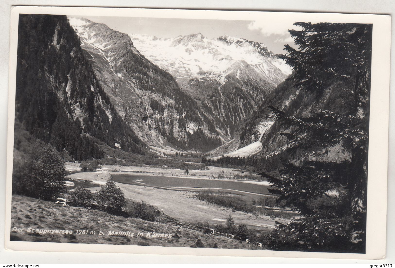 D3943) Der STRAPITZERSEE Bei MALLNITZ In Kärnten - Schöne Alte S/W AK 22.6.1956 - Mallnitz