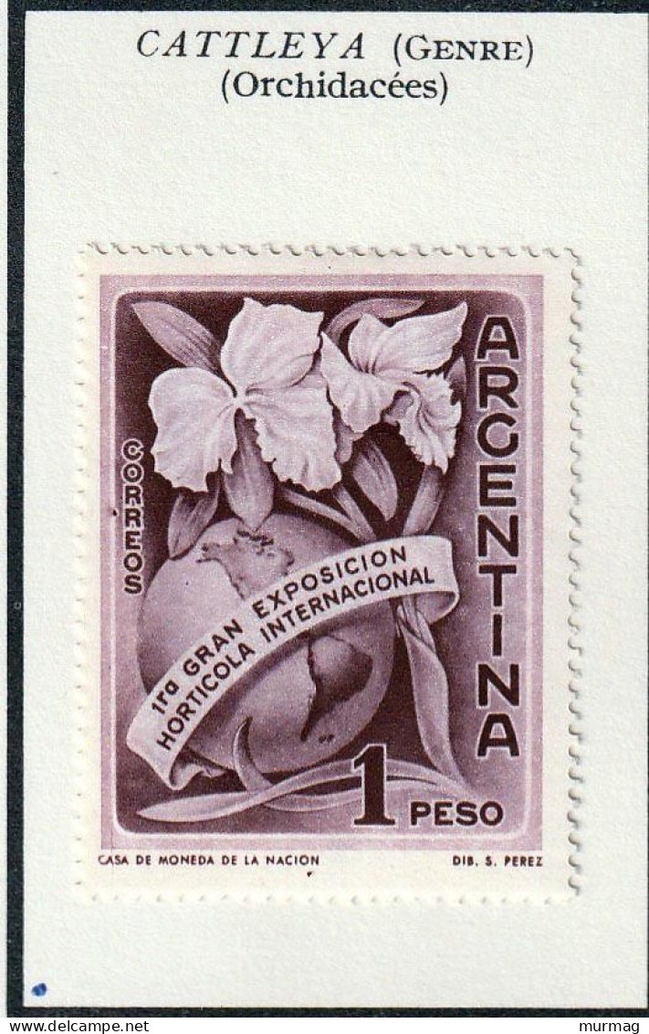 ARGENTINE - Fleurs, Flowers, Orchidées, 1ère Exposition Horticole - 1962 - MH - Ongebruikt