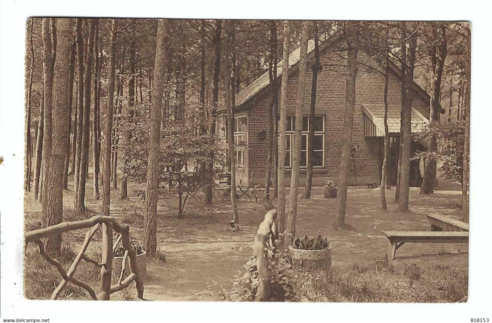 Kalmthout   Calmpthout  10249 Colonie   Petite Classe Dans Le Bois  Kinderwelzijn  Klasje In Het Bosch 1931 - Kalmthout